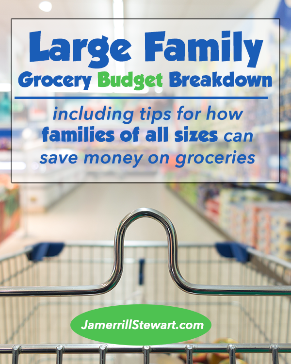 Large Family Grocery Budget Breakdown