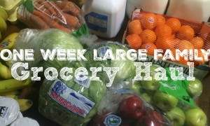 One Week Large Family Grocery Haul -- December 2015 {Food Lion}