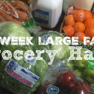 One Week Large Family Grocery Haul -- December 2015 {Food Lion}