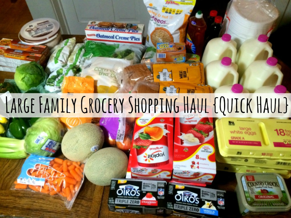 large-family-grocery-haul-february-2016-quick-haul