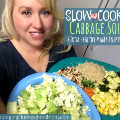 Slow Cooker Cabbage Soup Trim Healthy Mama