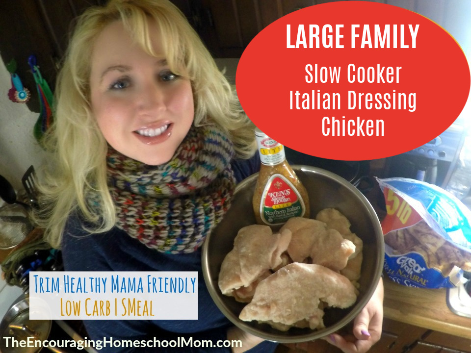 Large Family Slow Cooker Italian Dressing Chicken