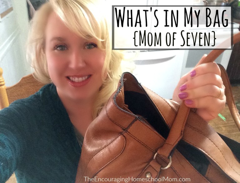 What’s in My Bag Vlog {Mom of Seven}