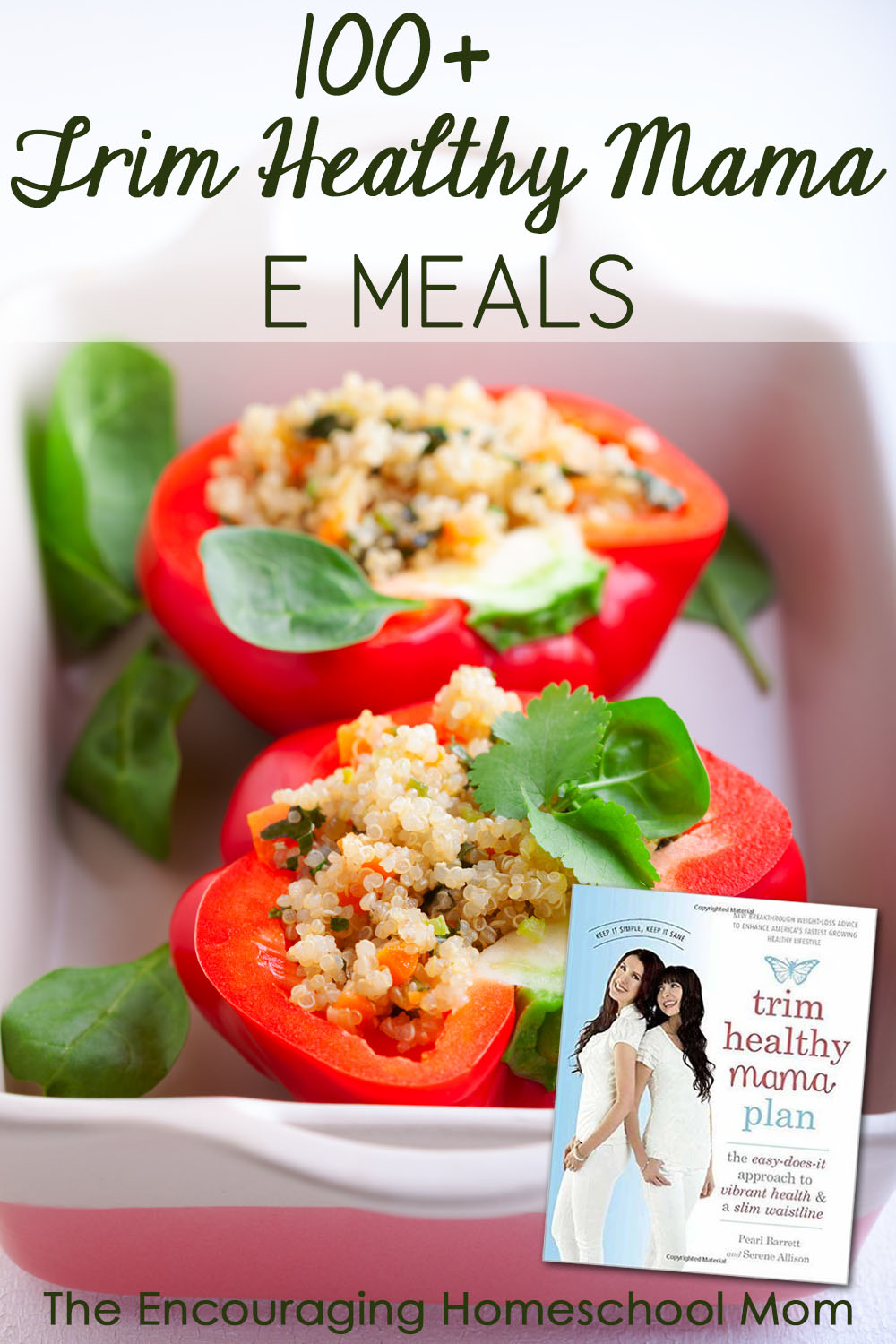 100+ Trim Healthy Mama E Meals