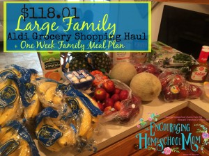 $118.01 Large Family Aldi Grocery Haul + Meal Plan for the Week