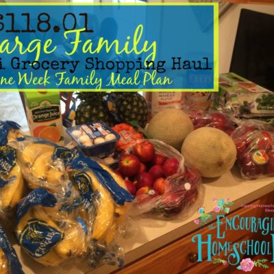 $118.01 Large Family Aldi Grocery Haul + Meal Plan for the Week