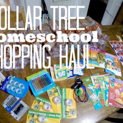 Dollar Tree Homeschool Shopping Haul
