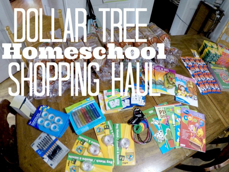 Dollar Tree Homeschool Shopping Haul