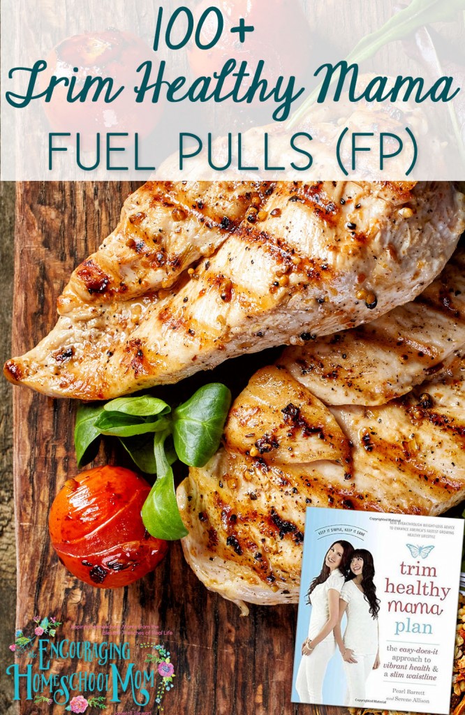 100 Trim Healthy Mama Fuel Pulls Low Carb And Low Fat Large Family 