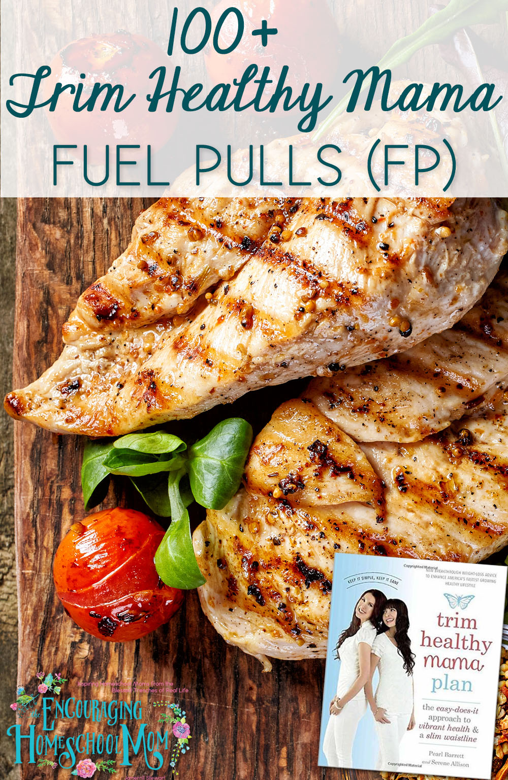 100-trim-healthy-mama-fuel-pulls-low-carb-and-low-fat-large-family