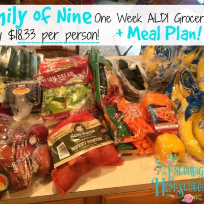 Family of Nine Aldi One Week Grocery Haul + Meal Plan {only $165 = $18.33 per person!)