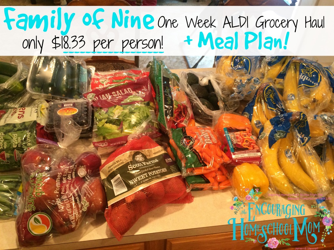Family of Nine Aldi One Week Grocery Haul + Meal Plan {only $165 = $18.33 per person!)