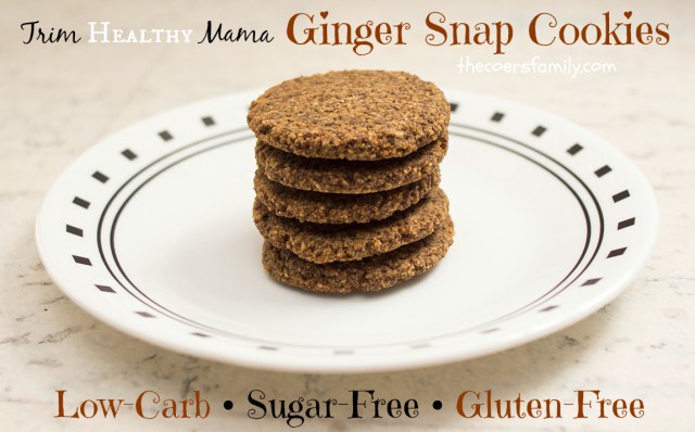 Ginger Snap Cookies THM FP