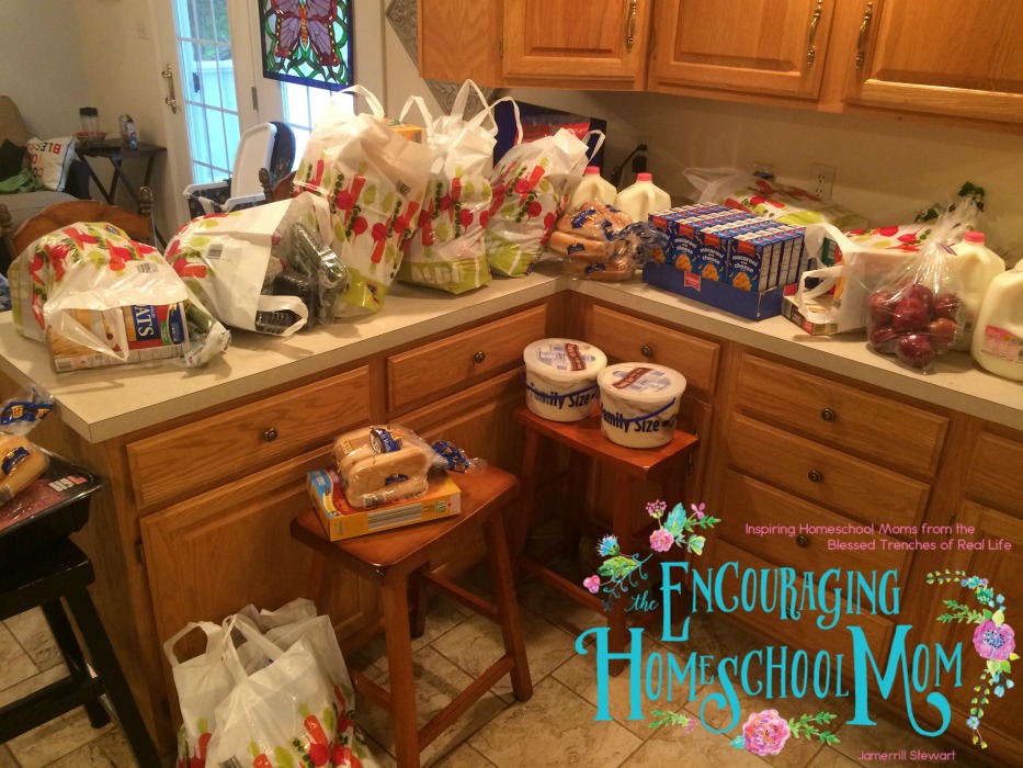 Family of Nine Aldi One Week Grocery Haul + Large Family Meal Plan
