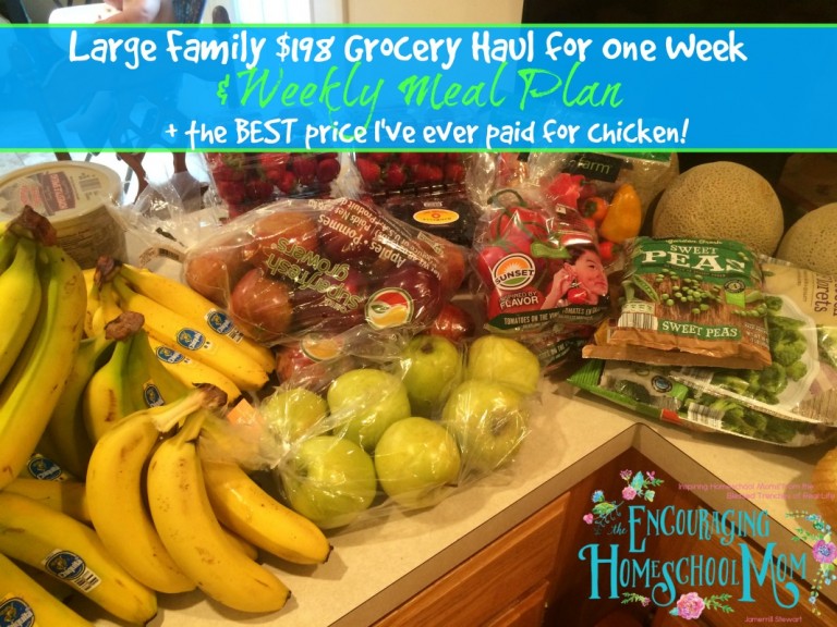 Large Family 198 Aldi Grocery Haul + Weekly Meal Plan (GREAT deal on