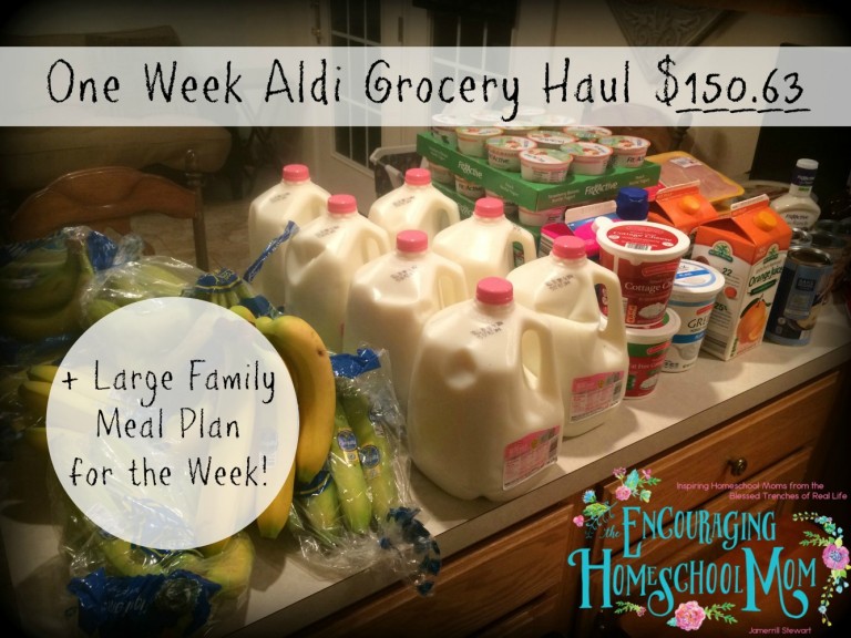 This Week’s $150.63 Large Family Aldi Grocery Haul + One Week Meal Plan | 5.16.16