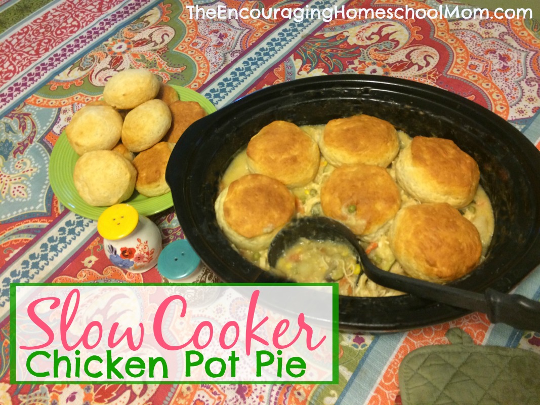 Slow Cooker Chicken Pot Pie Large Family Style Recipe