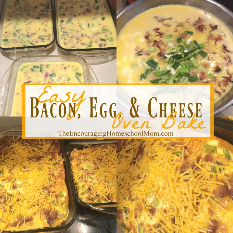 Easy Bacon, Egg, and Cheese Oven Bake Recipe | Large Family Style!