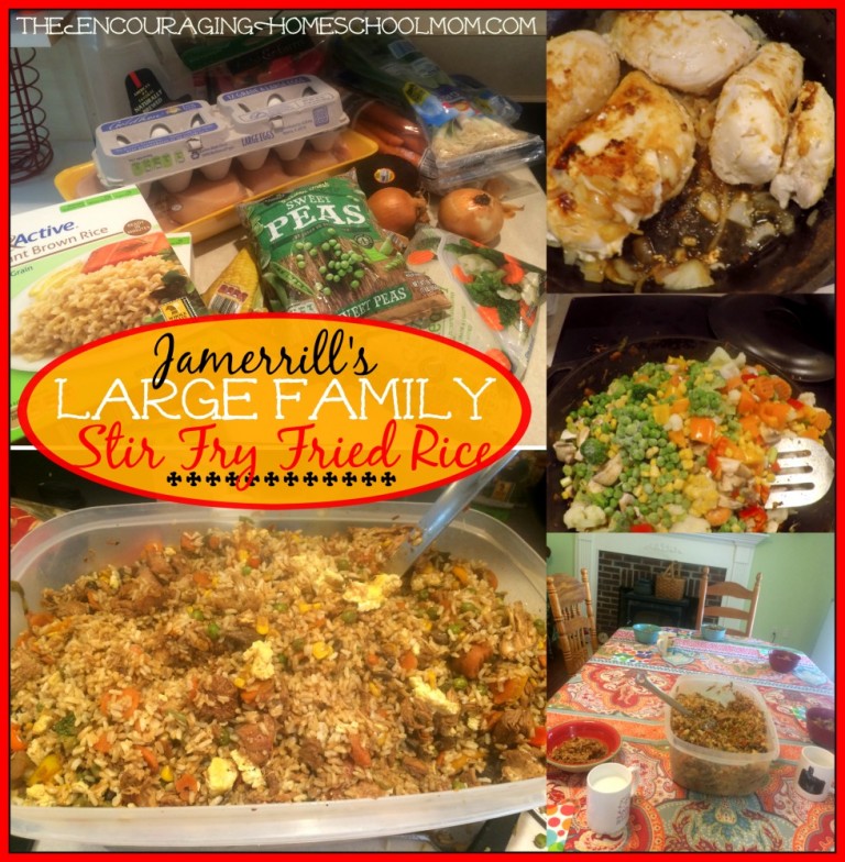 Jamerrill’s Large Family Stir Fry Fried Rice Recipe