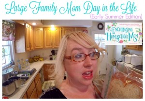 LARGE FAMILY MOM DAY IN THE LIFE {Early Summer Edition}