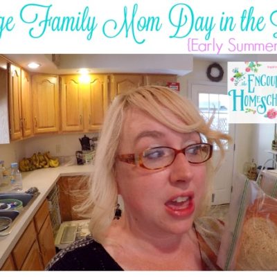 LARGE FAMILY MOM DAY IN THE LIFE {Early Summer Edition}