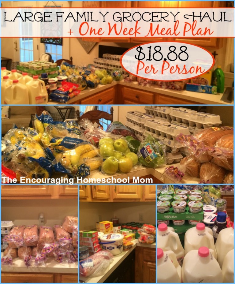 Large Family Grocery Haul and Meal Plan: $170 {$18.88 per person!} for our Family of Nine|6.6.16