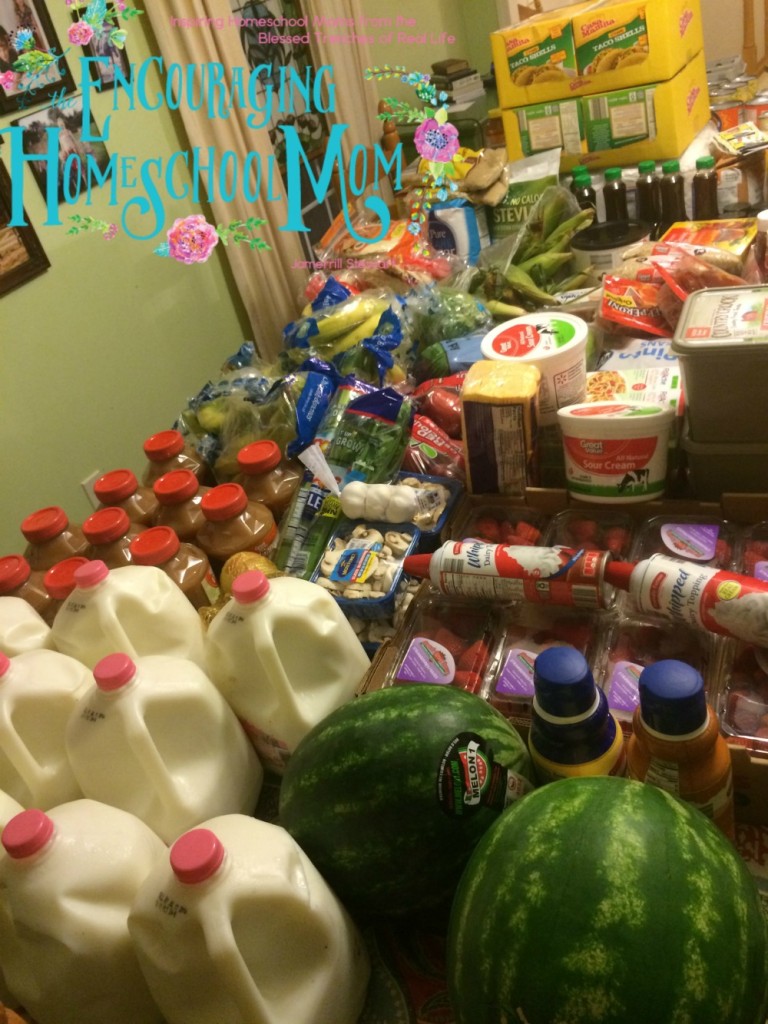 Large Family Aldi Grocery Shopping Haul