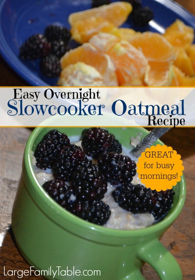 https://largefamilytable.com/wp-content/uploads/2016/07/Overnight-Slow-Cooker-Oatmeal.jpg