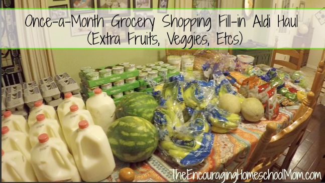 Once-a-Month Grocery Shopping Fill-in Aldi Haul (Extra Fruits, Veggies, Etcs)
