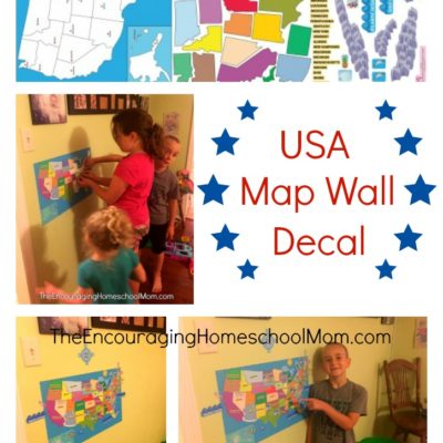 Usa Map Wall Play Set