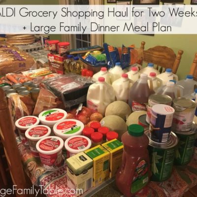 ALDI Grocery Shopping Haul for Two Weeks + Large Family Dinner Meal Plan