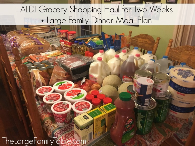 ALDI Grocery Shopping Haul for Two Weeks + Large Family Dinner Meal Plan