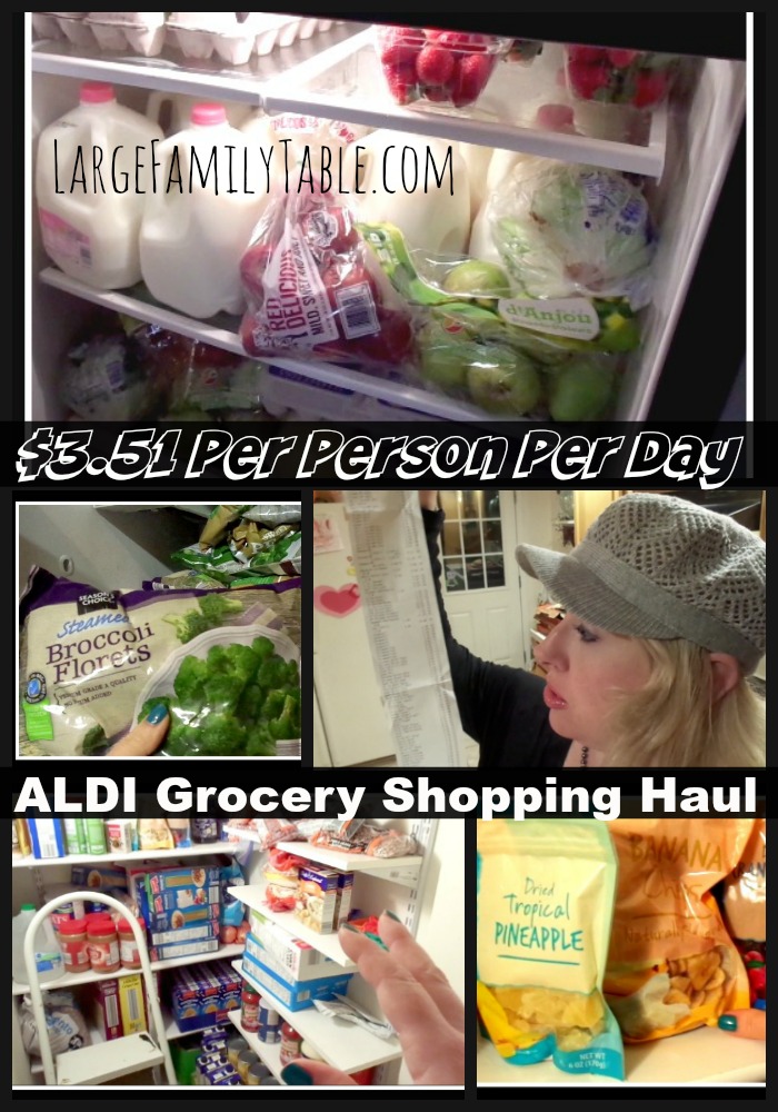 $3.51 Daily Per Person Aldi Grocery Shopping Haul | Hormonal, Exhausted, Pregnant Lady Edition!