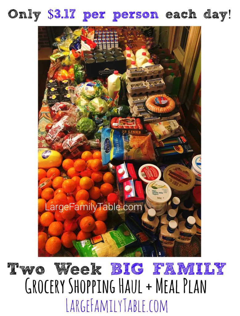Two Week BIG FAMILY of 9+ Grocery Shopping Haul & Meal Plan (Only $3.17 per person per day!) 