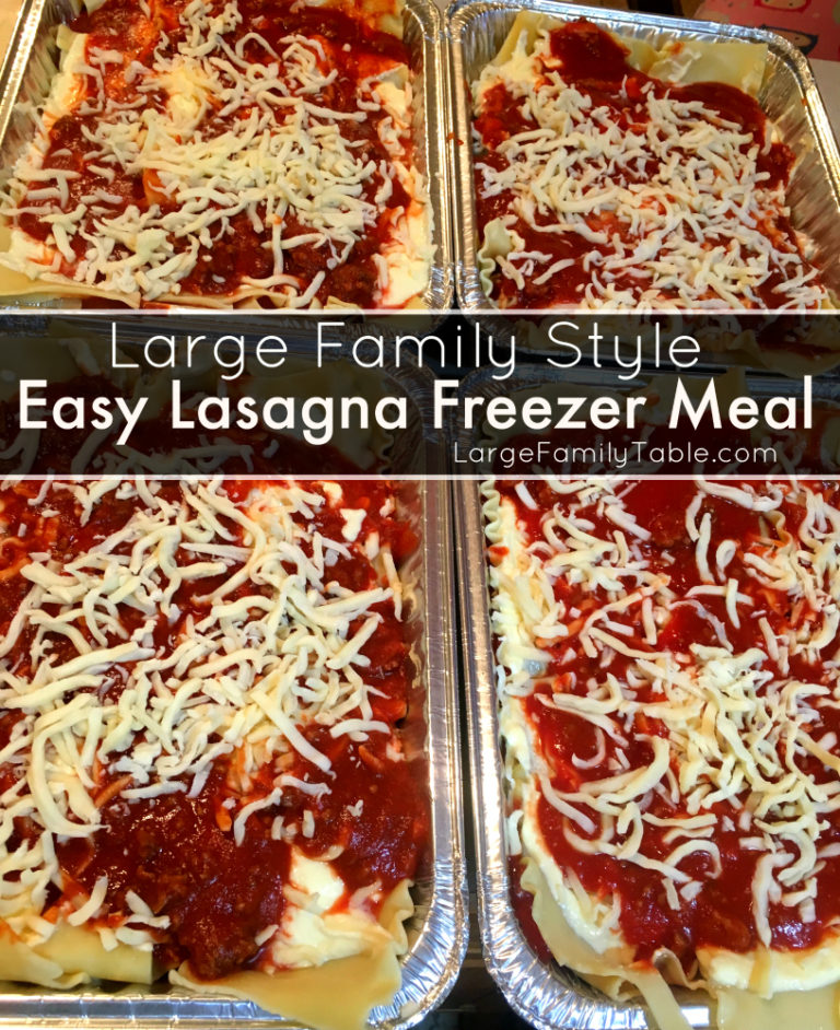 Large Family Mega Freezer Cooking