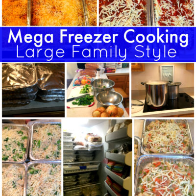 Freezer Cooking Day Archives - Jamerrill's Large Family Table