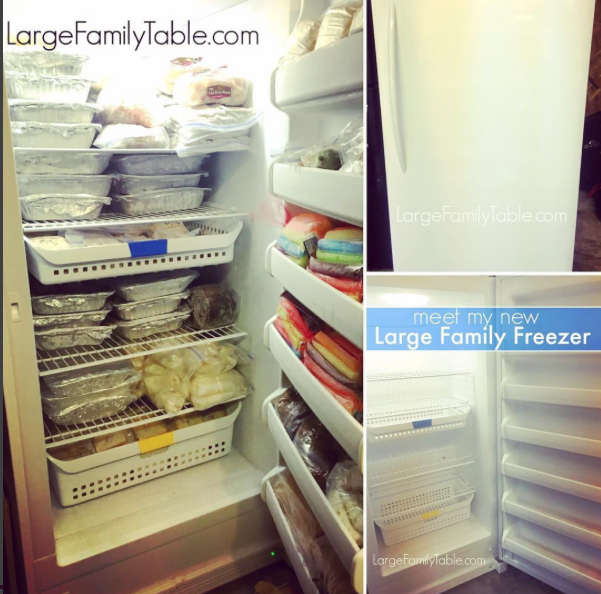 Large Freeze Dryer - Large Family Table