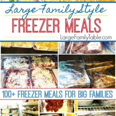 Freezer meals for big families