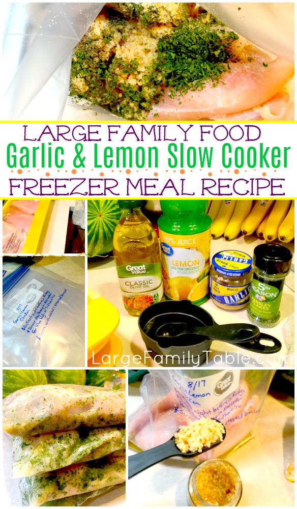 Slow cooker deals freezer meals