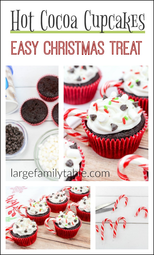 Hot Cocoa Cupcakes - Large Family Table