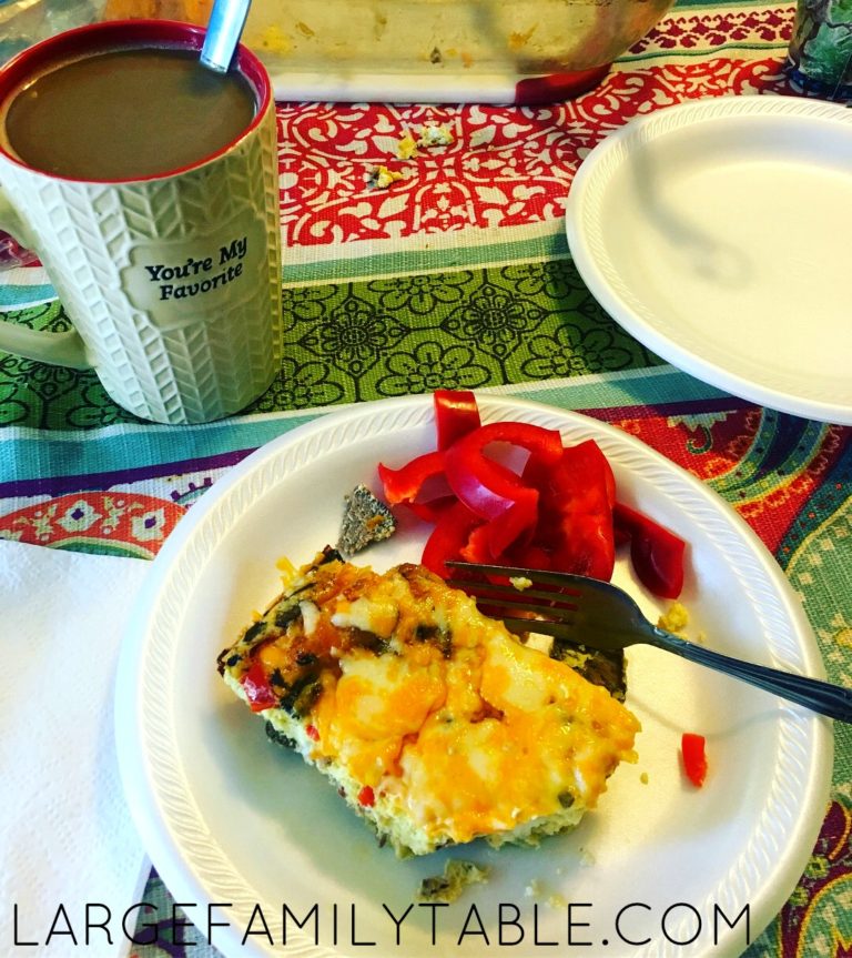Steak, Egg, and Cheese Breakfast Casserole | Large Family Recipes