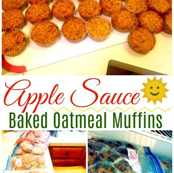 Baked Oatmeal Applesauce Muffins