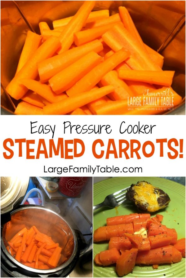 Large Family Instant Pot Recipes Cooking Steamed Carrots in the