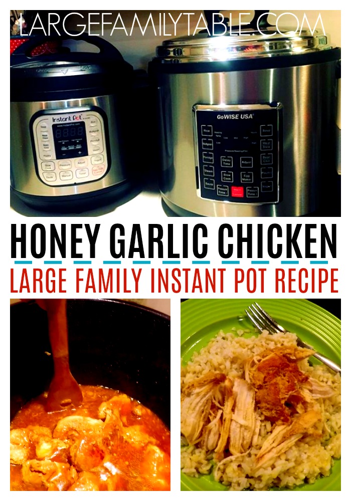 Large instant pot cheap recipes