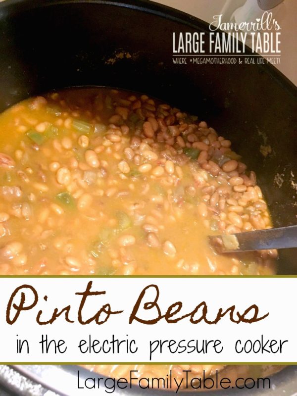 Large Family Cooking Make a HUGE BATCH of Pinto Beans in the Electric