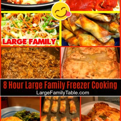 EXTREME FREEZER COOKING DAY | Large Family Meals