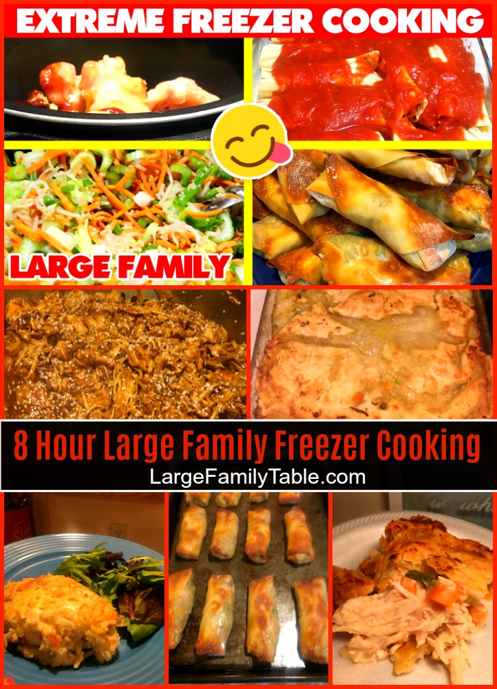 EXTREME FREEZER COOKING DAY | Large Family Meals