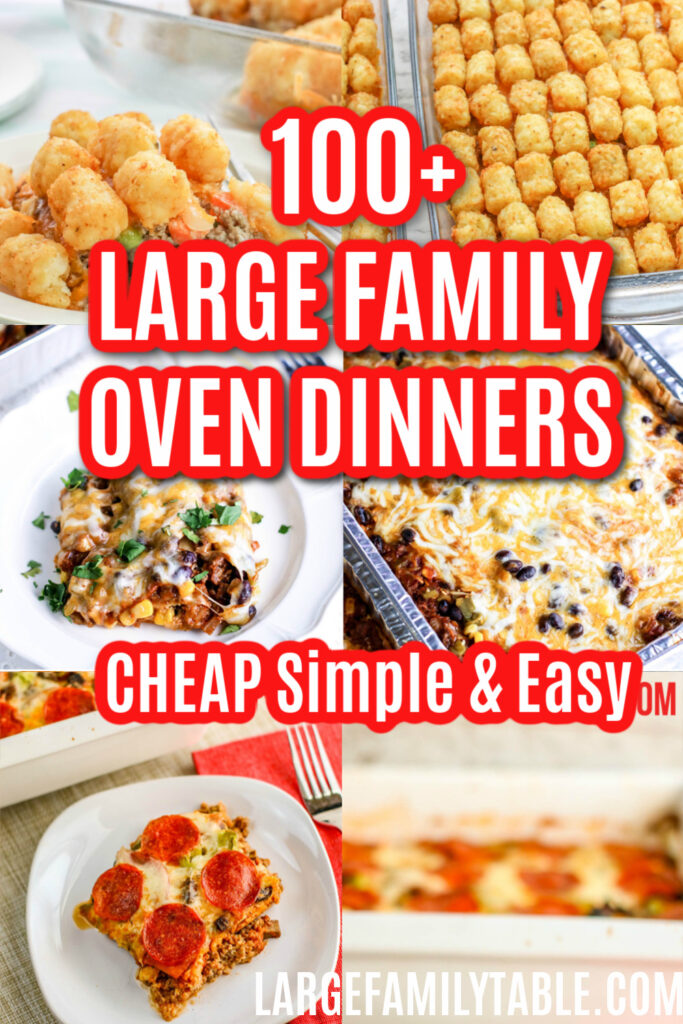 100+ Simple and Easy Large Family Oven Dinners