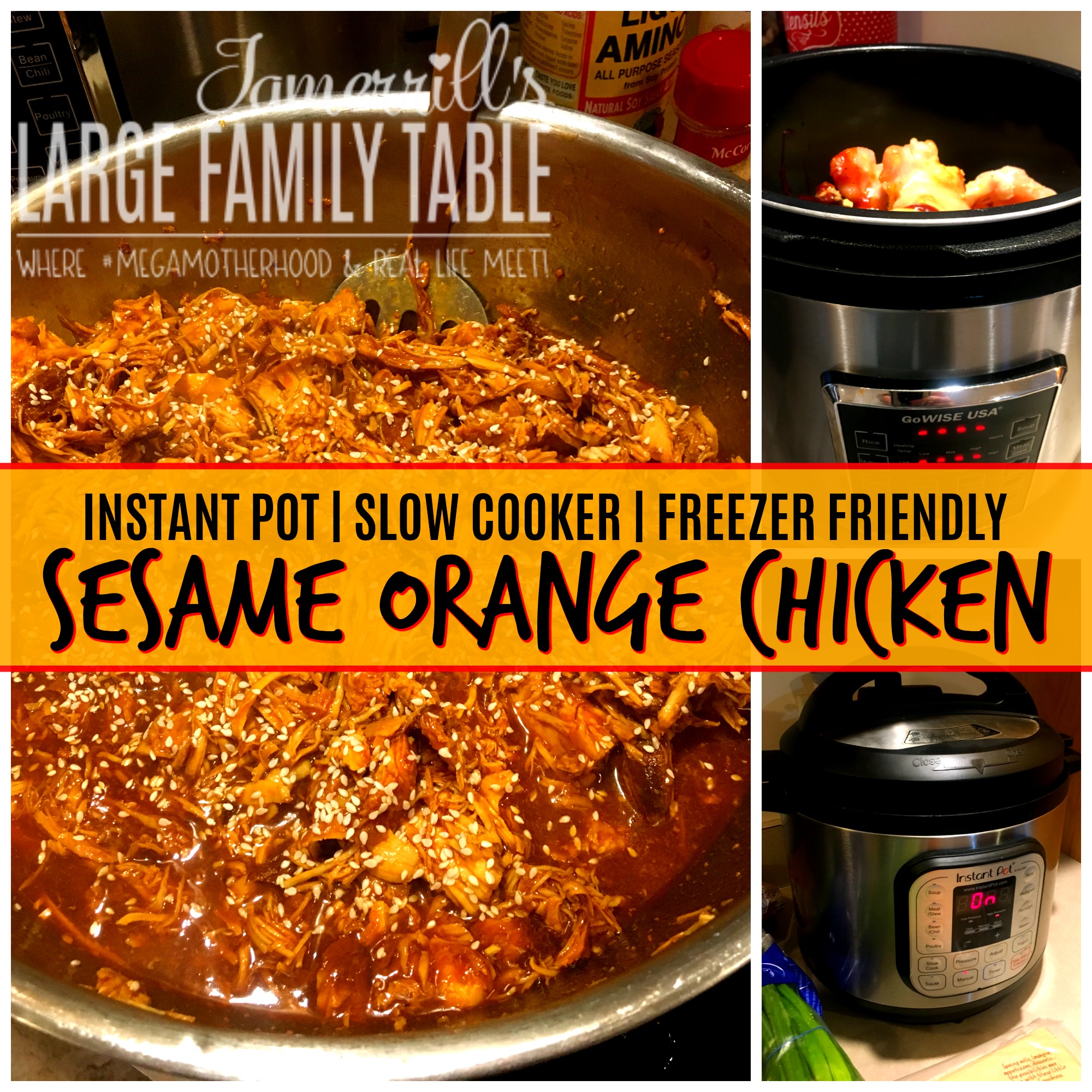 Large Family Instant Pot Recipe