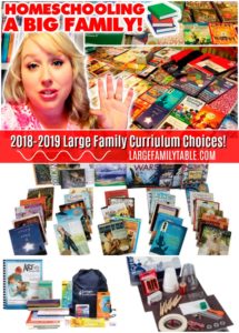 Big Family Homeschooling